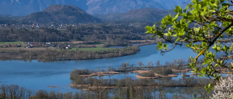 Alpenpanorama am Völkermarkter Stausee im Frühling